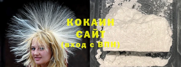 шишки Армянск