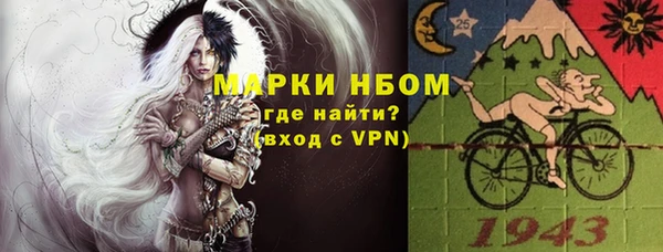 шишки Армянск