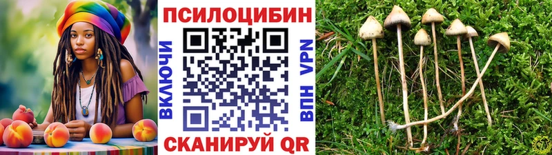 Псилоцибиновые грибы Psilocybe Купить Семёнов